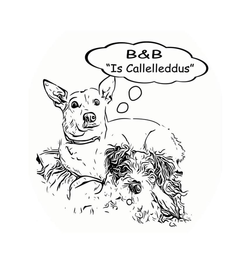 בארי סארדו B&B Is Callelleddus מראה חיצוני תמונה